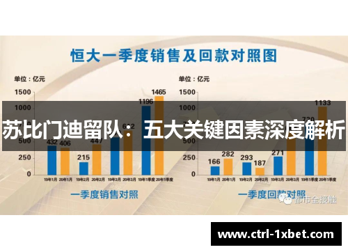 苏比门迪留队:五大关键因素深度解析 苏比门迪留队:五大关键因素深度解析