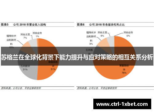 苏格兰在全球化背景下能力提升与应对策略的相互关系分析 苏格兰在全球化背景下能力提升与应对策略的相互关系分析
