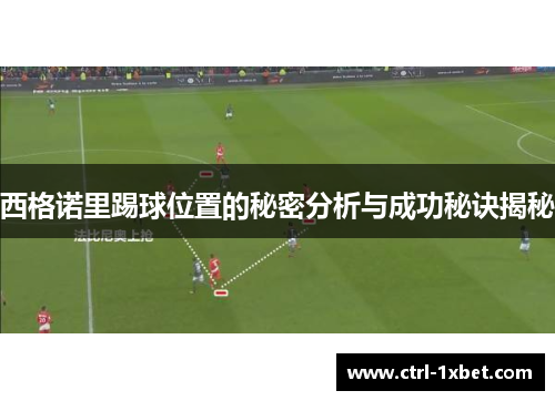 西格诺里踢球位置的秘密分析与成功秘诀揭秘 西格诺里踢球位置的秘密分析与成功秘诀揭秘