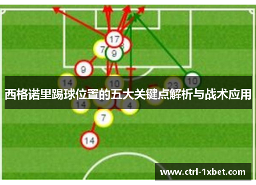 西格诺里踢球位置的五大关键点解析与战术应用 西格诺里踢球位置的五大关键点解析与战术应用