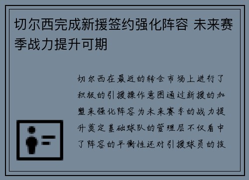 切尔西完成新援签约强化阵容 未来赛季战力提升可期 切尔西完成新援签约强化阵容 未来赛季战力提升可期
